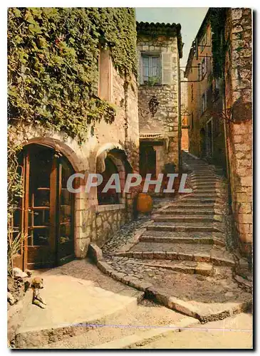 Cartes postales Couleurs et Lumiere de France La Cote d'Azur miracle de la nature Saint Paul de Vence A M Une de