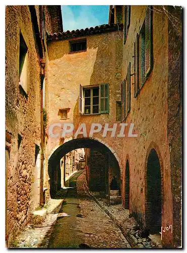 Cartes postales Couleurs et Lumiere de France La Cote d'Azur miracle de la nature Saint Paul Alpes Maritimes Vie