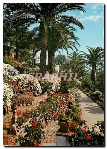 Cartes postales Theoule A M Villa St Camille et ses jardins fleuris