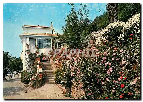 Cartes postales Theoule A M Villa St Camille et ses jardins fleuris