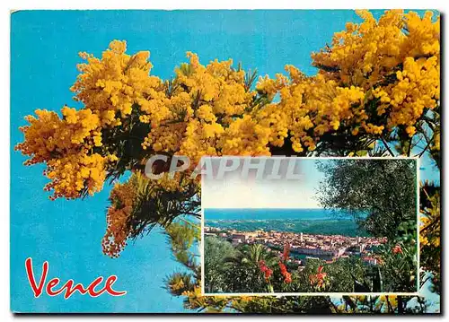 Cartes postales moderne Vence Cote d'Azur Souvenir de Vence