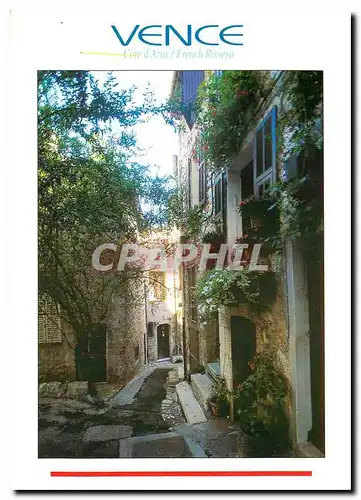 Cartes postales moderne Cote d'Azur French Riviera Vence Alpes Maritimes