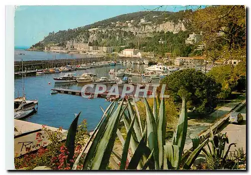 Cartes postales moderne La Cote d'Azur Villefranche sur Mer Le Port de la Darse