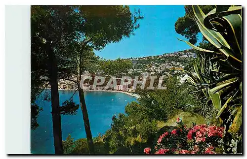 Cartes postales moderne Villafranche sur Mer