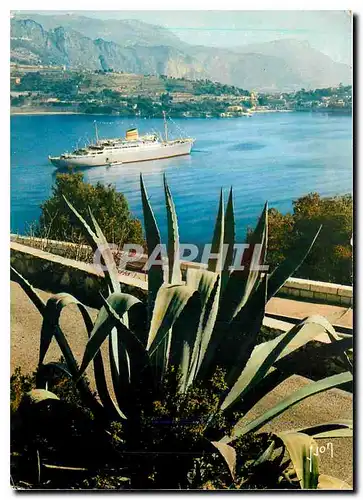 Cartes postales moderne Couleurs et Lumiere de France La Cote d'Azur miracle de la nature Villefranche sur Mer A M