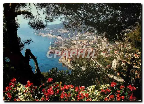 Cartes postales moderne La Cote d'Azur Villefranche sur Mer Vue generale au fond la Darse