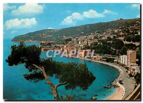 Cartes postales moderne Cote d'Azur Villefranche Mer La Promenade le petit port au fond le Mont Boron