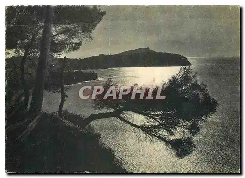 Cartes postales moderne La Cote d'Azur Le Cap Ferrat et la Rade de Villefranche