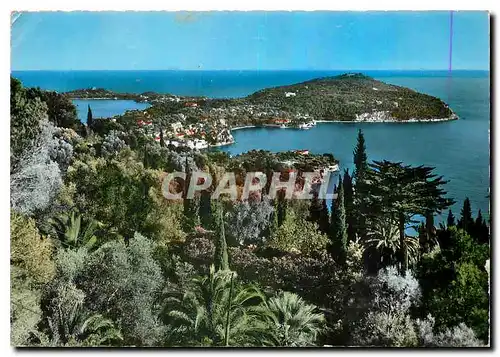 Cartes postales moderne La Cote d'Azur Villefranche sur Mer Le Cap Ferrat