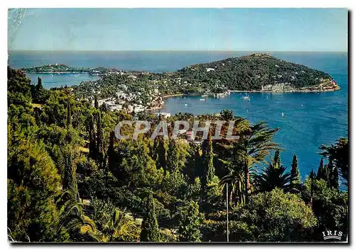 Cartes postales moderne La Cote d'Azur French Riviera Villefranche sur Mer La Rade et le Cap Ferrat