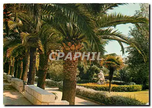 Moderne Karte Cote d'Azur Villefranche sur Mer La promenade le jardin public et sa vegetation exotique