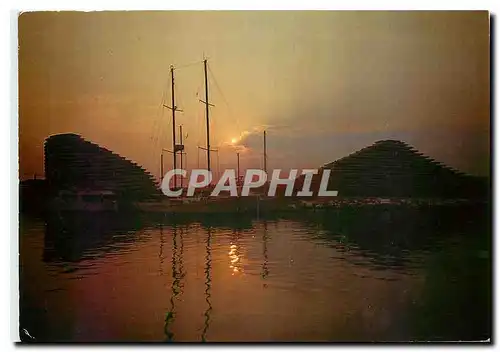 Cartes postales moderne La Cote d'Azur inoublible Villeneuve Loubet Coucher de soleil sur Marina Baie des Anges