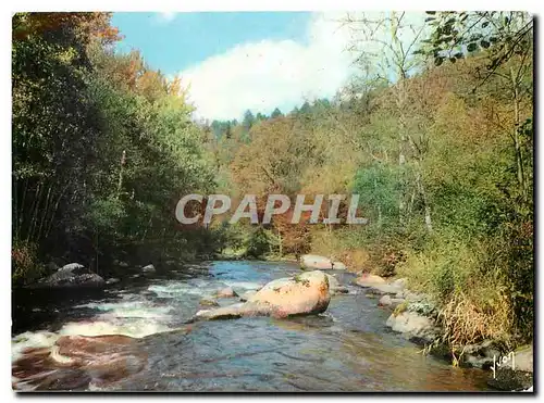 Cartes postales moderne Couleurs et Lumiere de France Enire Avallon et Vezelay Yonne La Vallee du Cousin