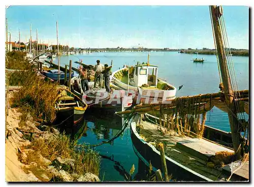 Cartes postales moderne Couleurs et Lumiere de France Valras Plage Herault Les Bords de l'Orb