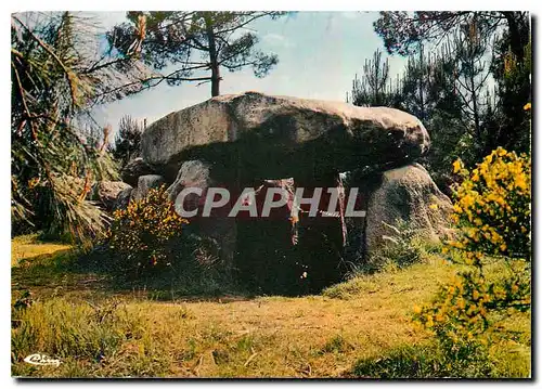 Cartes postales moderne Carnac Morbihan Allee couverie de Mane Kerioned