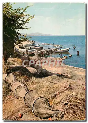 Cartes postales moderne Filets de peche et barques de pecheurs sur les etangs
