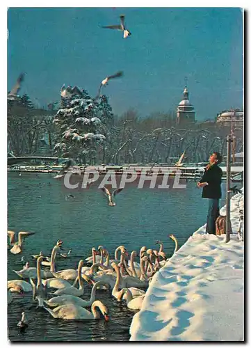 Cartes postales moderne Annecy et son Lac sous la neige La promenade du Paquier a gauche le Pont des Amours Jeu de l'enf