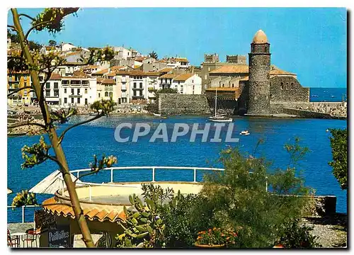 Cartes postales moderne La Cote Vermeille Collioure Vues du jardin de La Balette le port et la tour de l'eglise