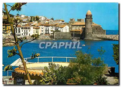 Moderne Karte La Cote Vermeille Collioure Vues du jardin de La Balette le port et la tour de l'eglise