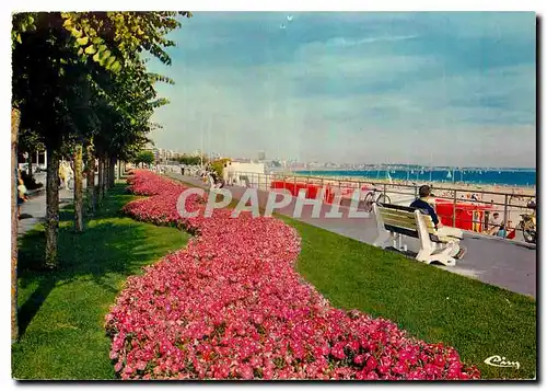 Cartes postales moderne La Baule L Atl Esplanade du Casino