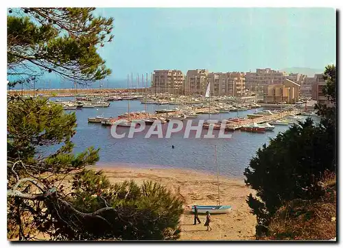 Cartes postales moderne La Cote d'Azur Varoise La Faviere Vue sur le Port de Bormes et le Village de la Mer