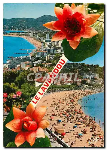 Cartes postales moderne La Cote d'Azur Varoise Le Lavandou Var Vue generale sur le Front de Mer La Plage