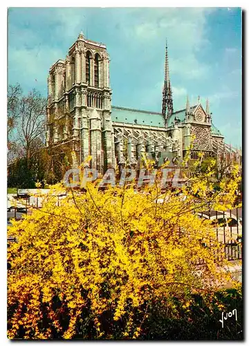 Cartes postales moderne Couleurs et Lumiere de France Paris Notre Dame