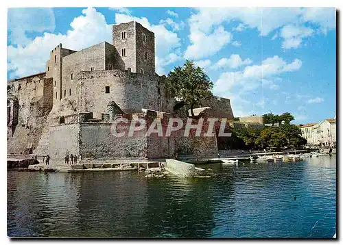 Cartes postales moderne Collioure Le Chateau des Templiers Le nouveau Port