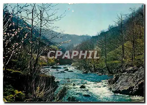 Moderne Karte Printemps au Pays Basque