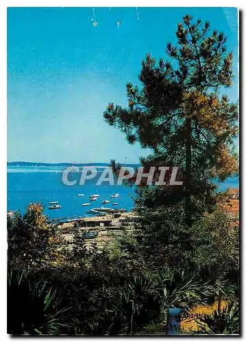 Cartes postales moderne Vue sur le Bassin d'Arcachon