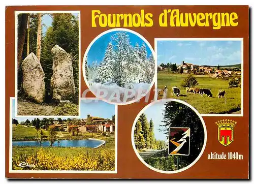 Cartes postales moderne Fournols d'Auvergne P de D Peche Champinons Forets Les Pierres Folles Neige et soleil Vue genera