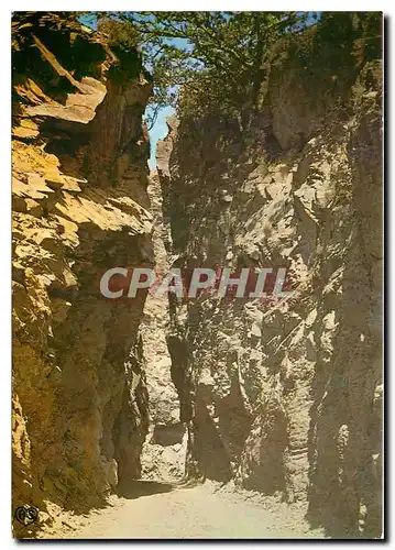 Cartes postales moderne Lacaune les Bains Tarn Station Estivale Entree d'une carriere d'ardoise