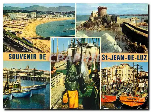 Cartes postales moderne Couleurs et Lumiere de France Le Pays Basque Saint Jean de Luz Vue generale de la Plage Le Fort