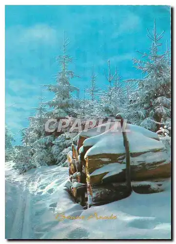 Cartes postales moderne Bonne Annee