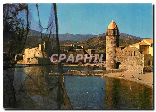 Cartes postales moderne La Cote Vermeille Collioure P O L'eglise St Vincent le chateau des Templiers au loin les Alberes