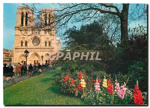 Cartes postales moderne Paris La Cathedrale Notre Dame