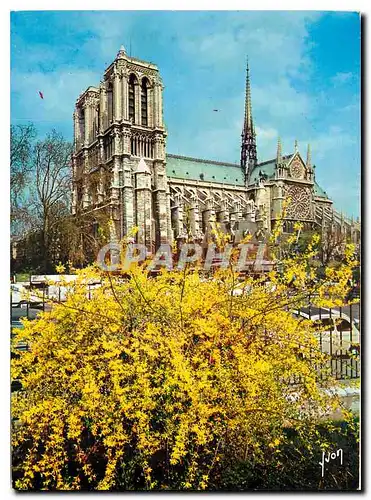 Cartes postales moderne Couleurs et Lumiere de France Paris Notre Dame