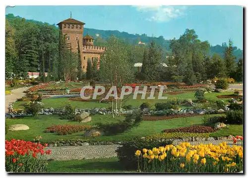 Cartes postales moderne Torino Parc du Valentin Jardin de rocaille