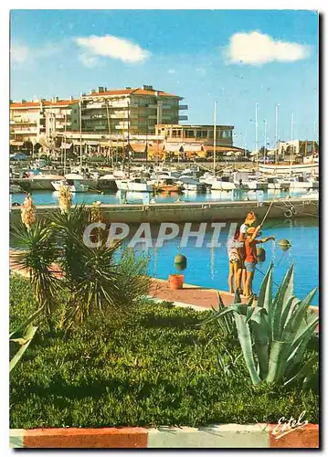 Cartes postales moderne La Cote Catalane Saint Cyprien Plage Pyrenees Orientales Le port de plaisance