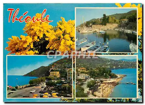 Cartes postales moderne Theoule Cote d'Azur Vue generale et la Plage