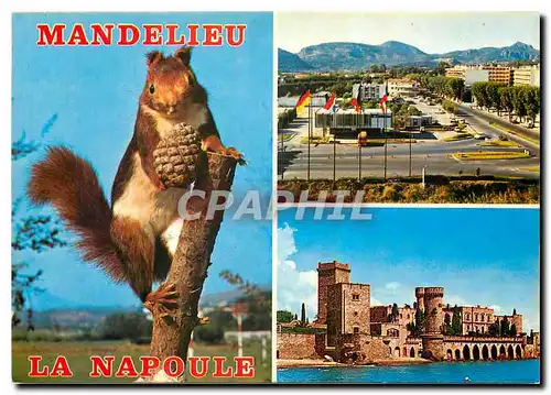 Cartes postales moderne Cote d'Azur Mandelieu La Napoule Entree de l'Autoroute Chateau de la Napoule Ecureuil