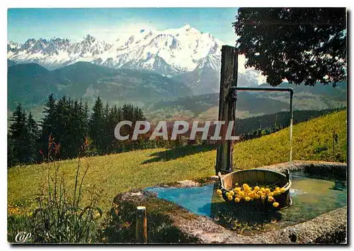 Cartes postales moderne Au Pays du Mont Blanc Panorama sur le Massif depuis Cordon