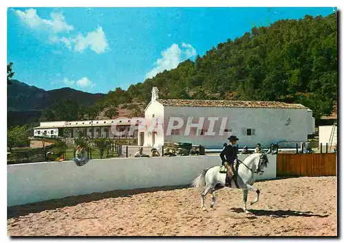 Cartes postales moderne Fiesta Andaluza Cortijo ses Rotes Mallorca Baleares Esppania