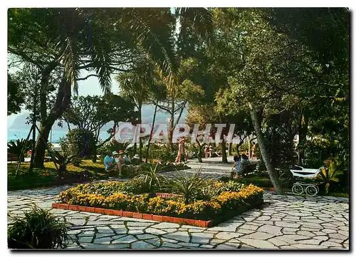 Moderne Karte Riviera Delle Palme Spotorno Jardin's