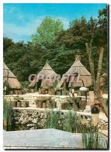 Cartes postales moderne Varna Zlatni Plassatzi Bar Kolibite