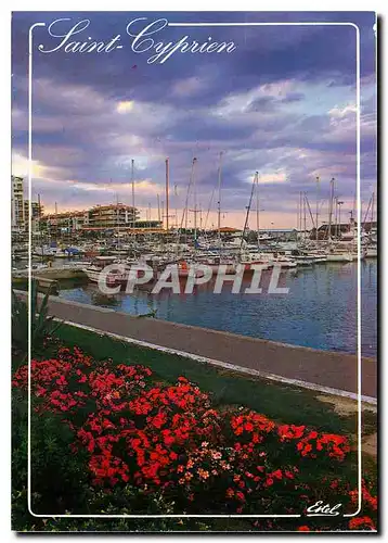 Cartes postales moderne La Cote Vermeille Saint Cyprien Plage Pyrenees Orientales Le port de plaisance