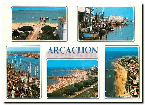 Cartes postales moderne Couleurs et Lumiere de France Bassin d'Arcachon Arcachon Gironde La Jetee thiers Le Port Le Port