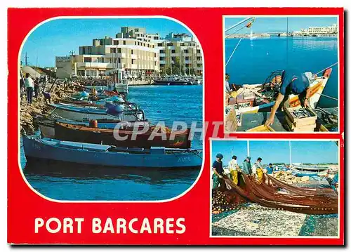 Cartes postales moderne La Cote du Roussillon Port Barcares Pyr Or Le port Retour de la peche a la sardine