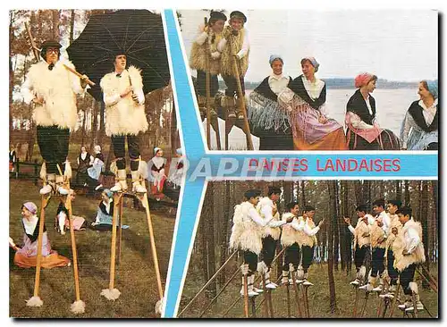 Cartes postales moderne Landes Danses Landaises Les echassiers et leurs compagnes Les echassiers dans la Foret Les echas