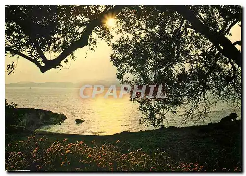 Cartes postales moderne Cephalonie Poros Coucher du soleil